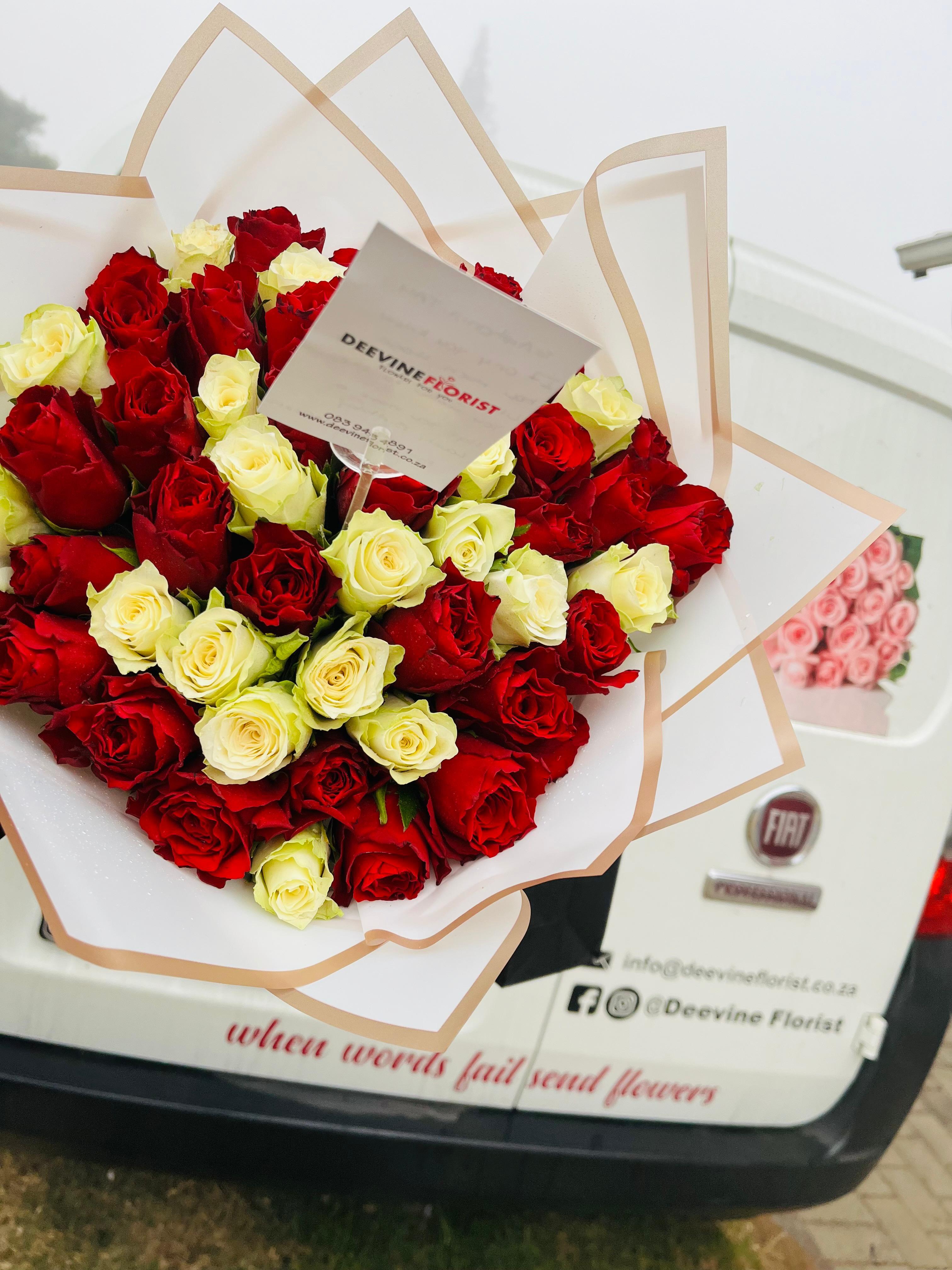 Signature Collection 6