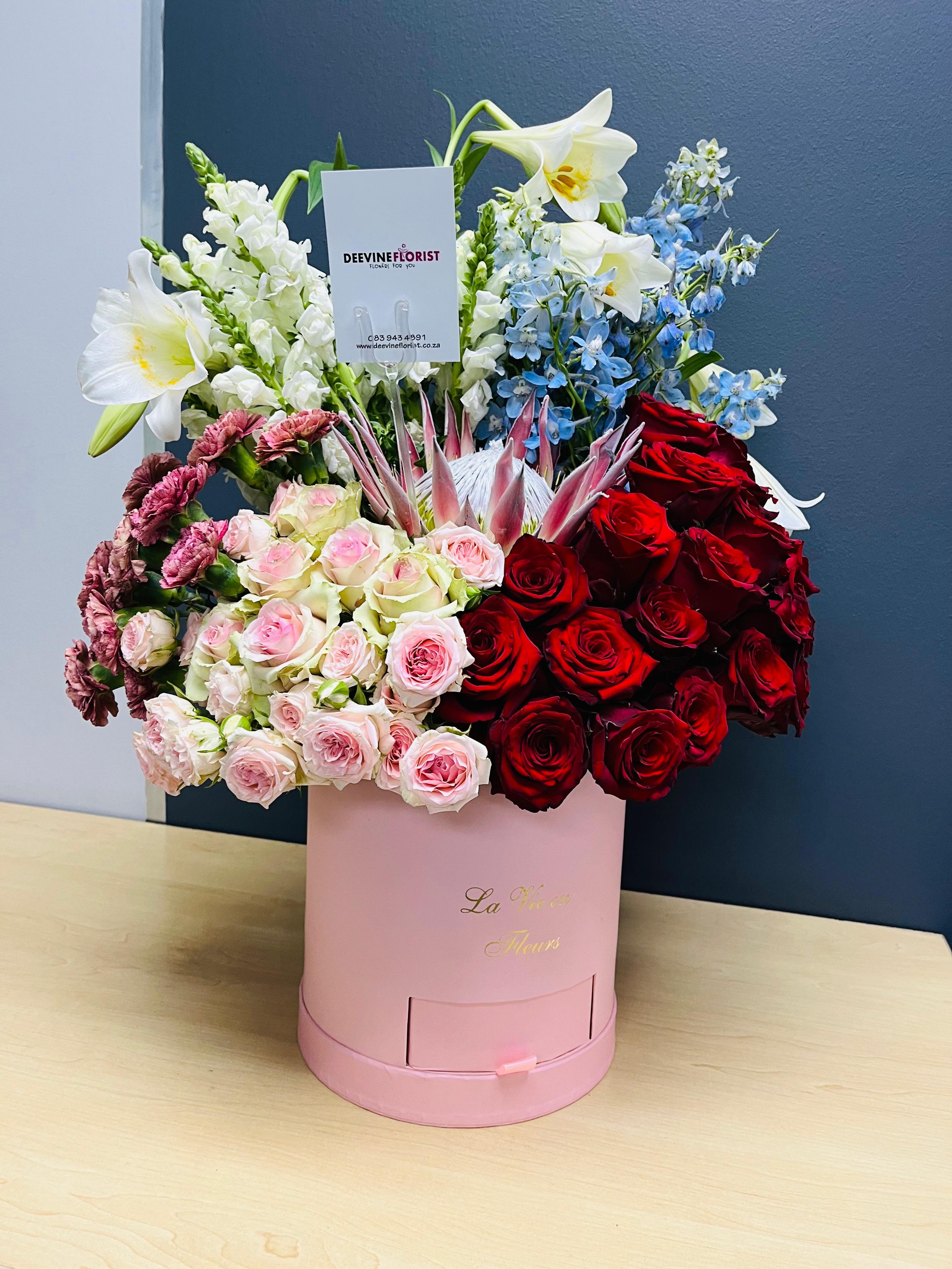 Signature Collection 8