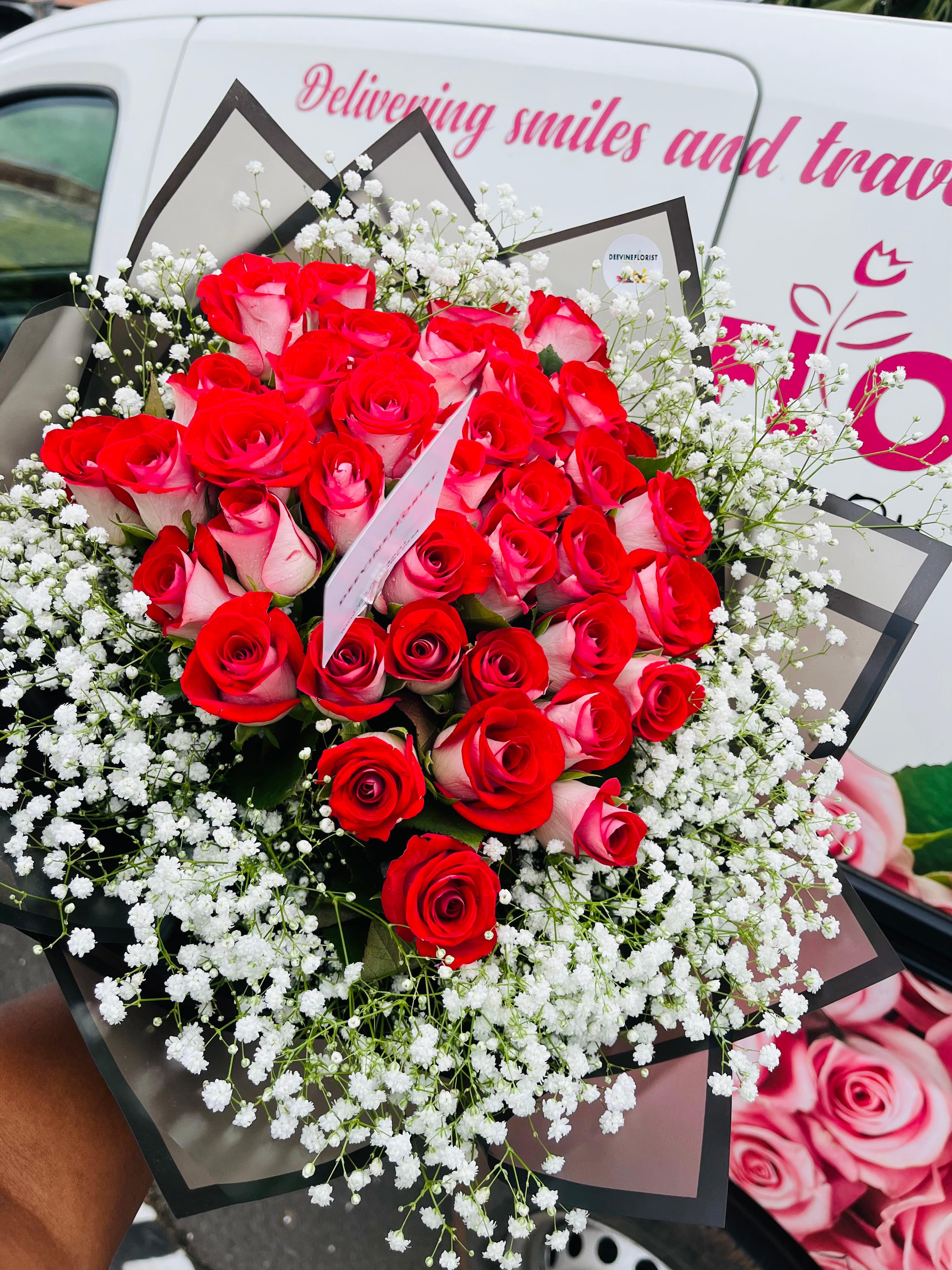 Signature Collection 9