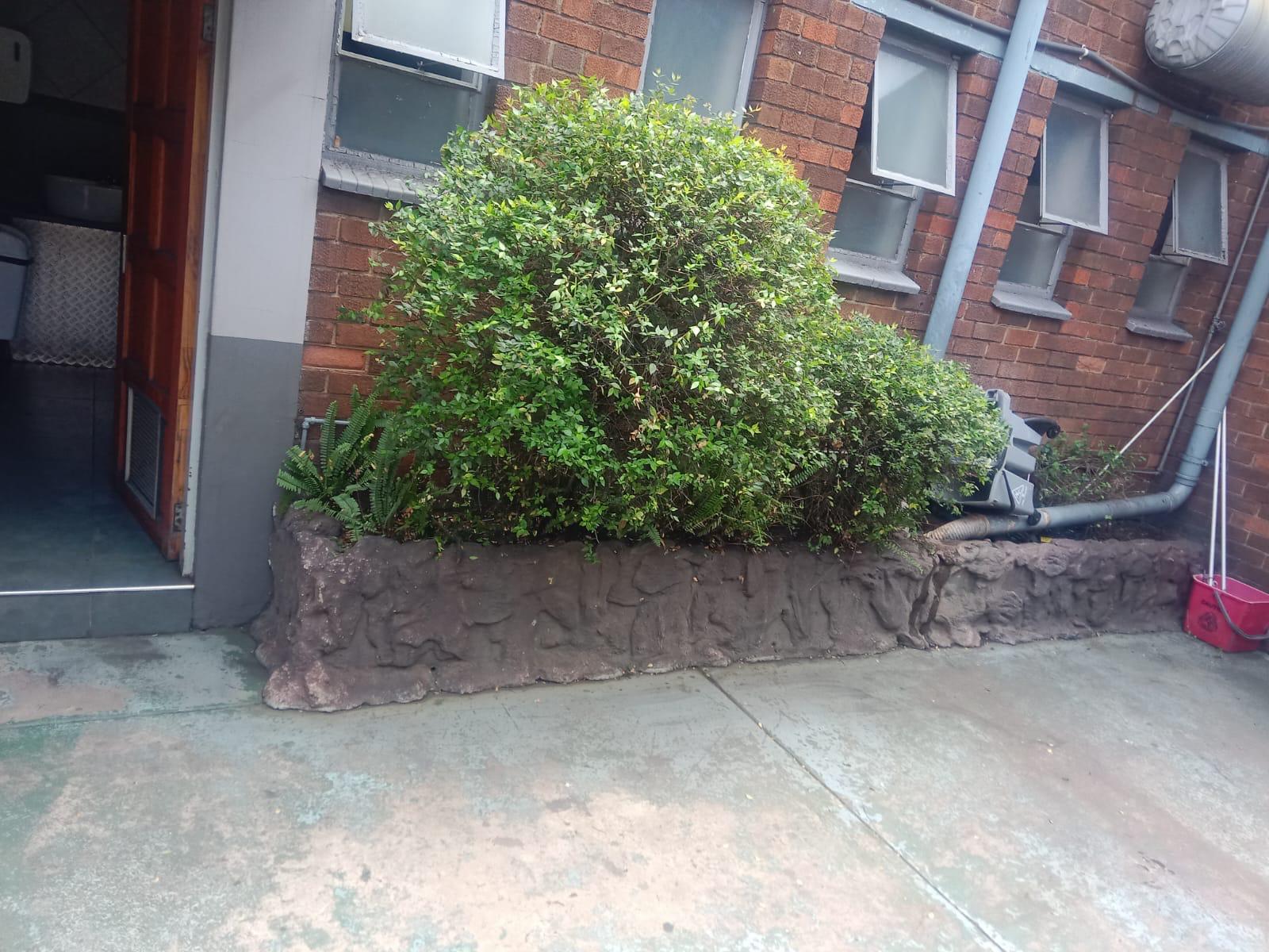 Landscape project 14