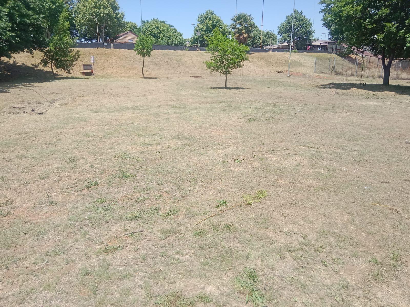 Landscape project 16