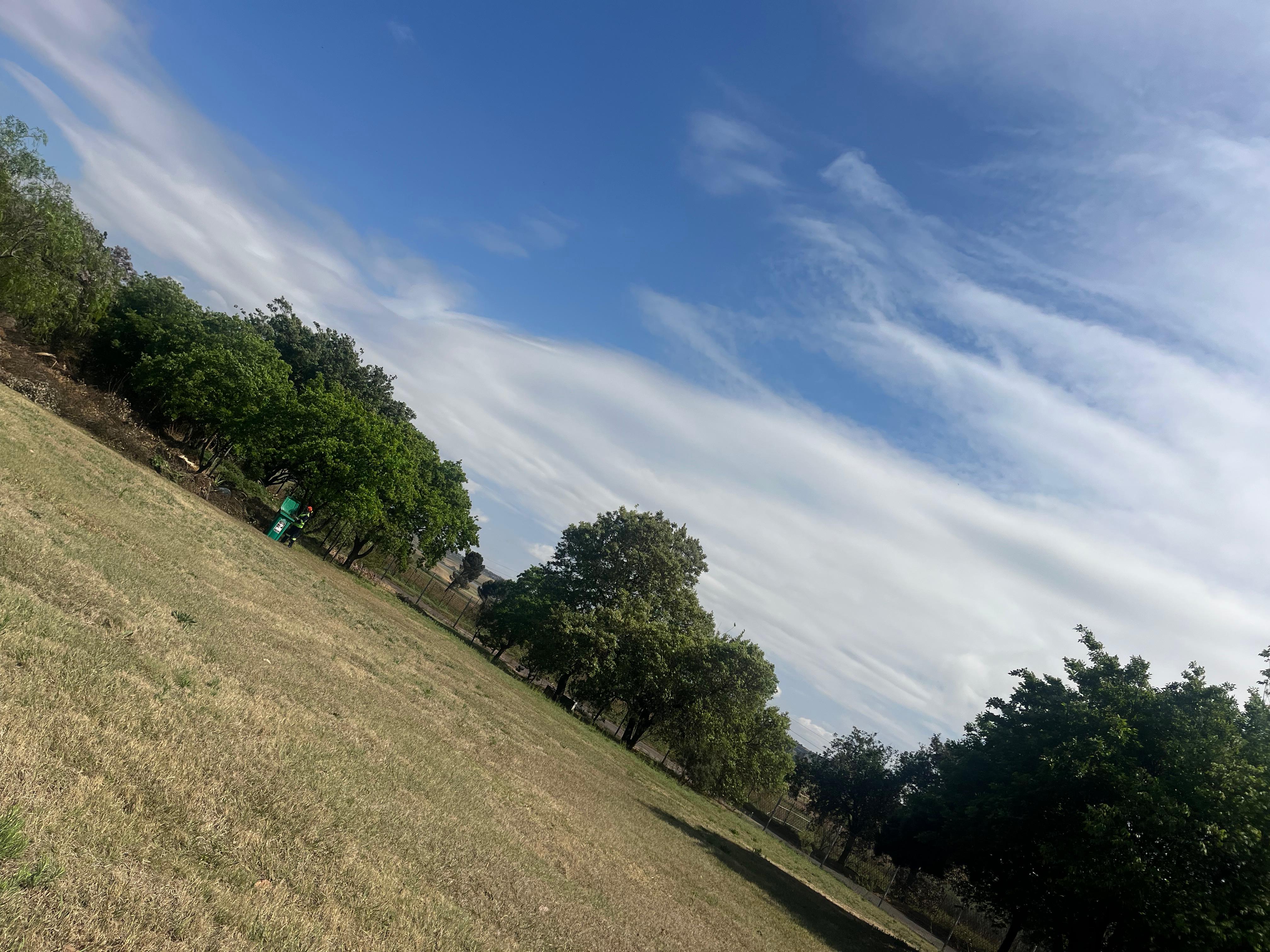 Landscape project 18