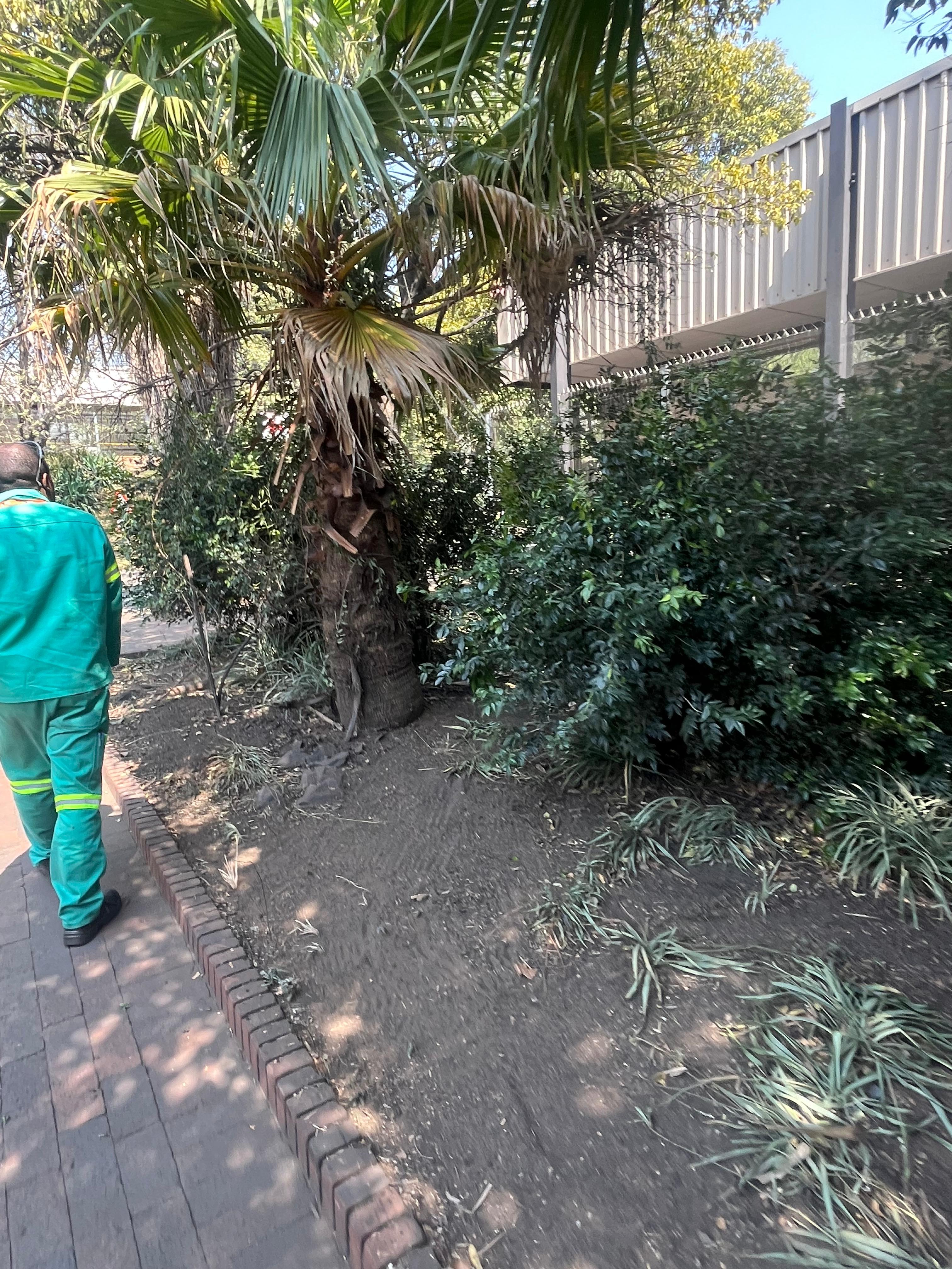 Elegant garden design